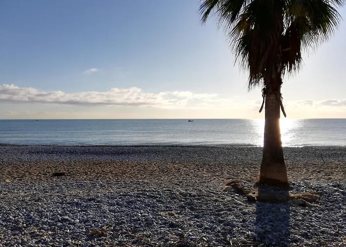 Appartement 2P Et Parking Prive A 50M Des Plages.